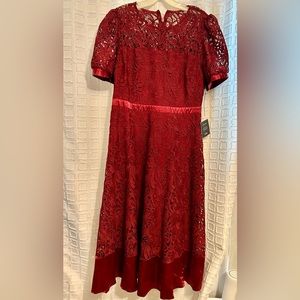 Lulus cranberry lace dress